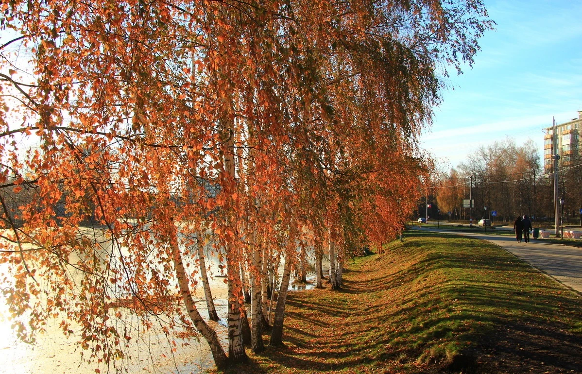 Сормовский бульвар 